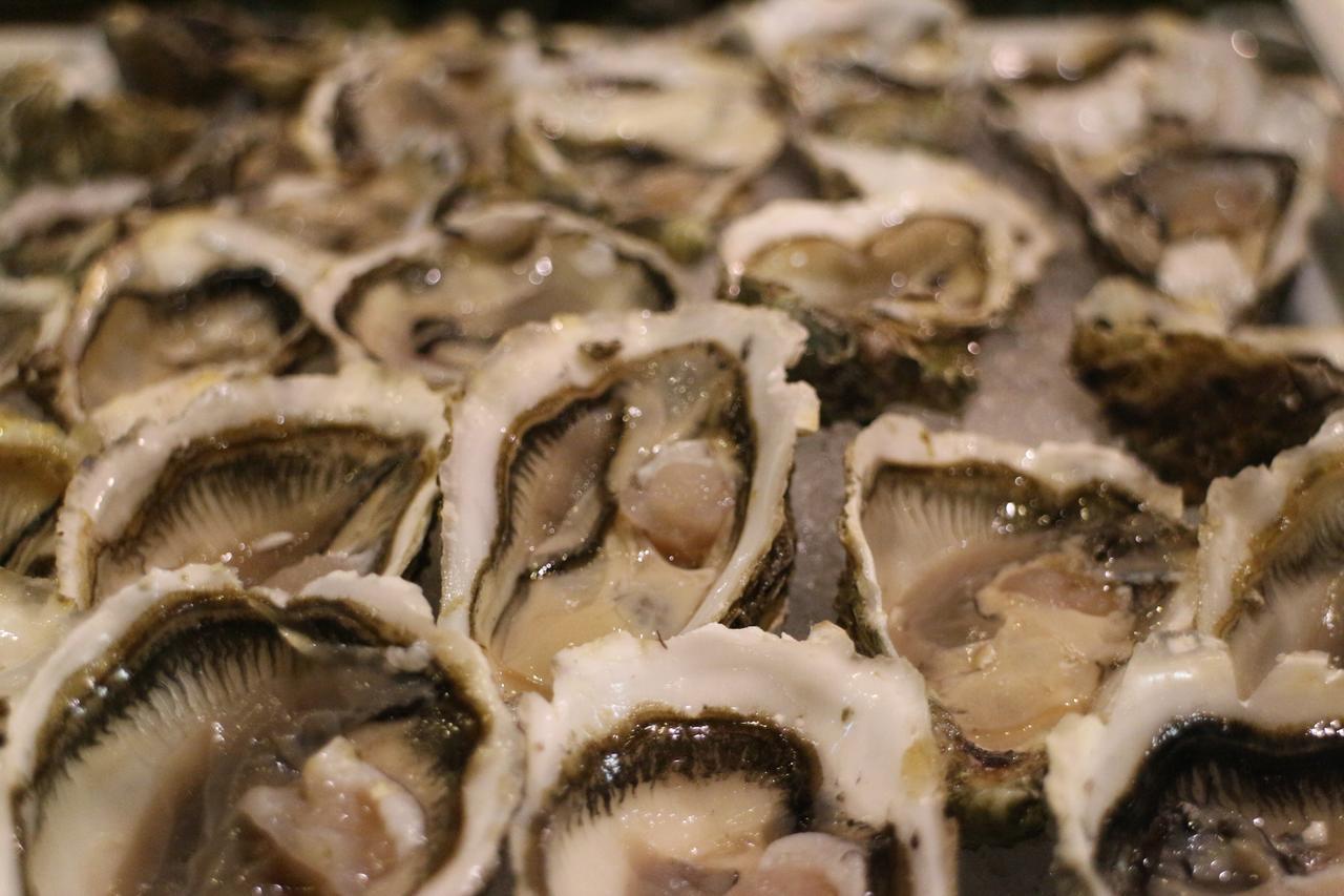 켄지 클럽 악달 메디나 - 올 인클루시브 Lahebichate 외부 사진 Oysters